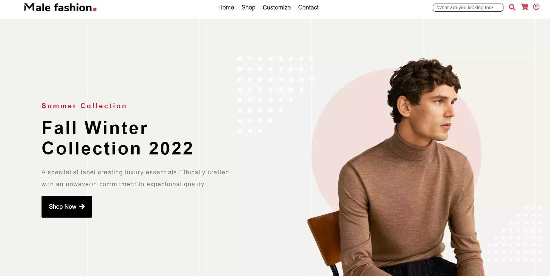 Custom E-commerce
